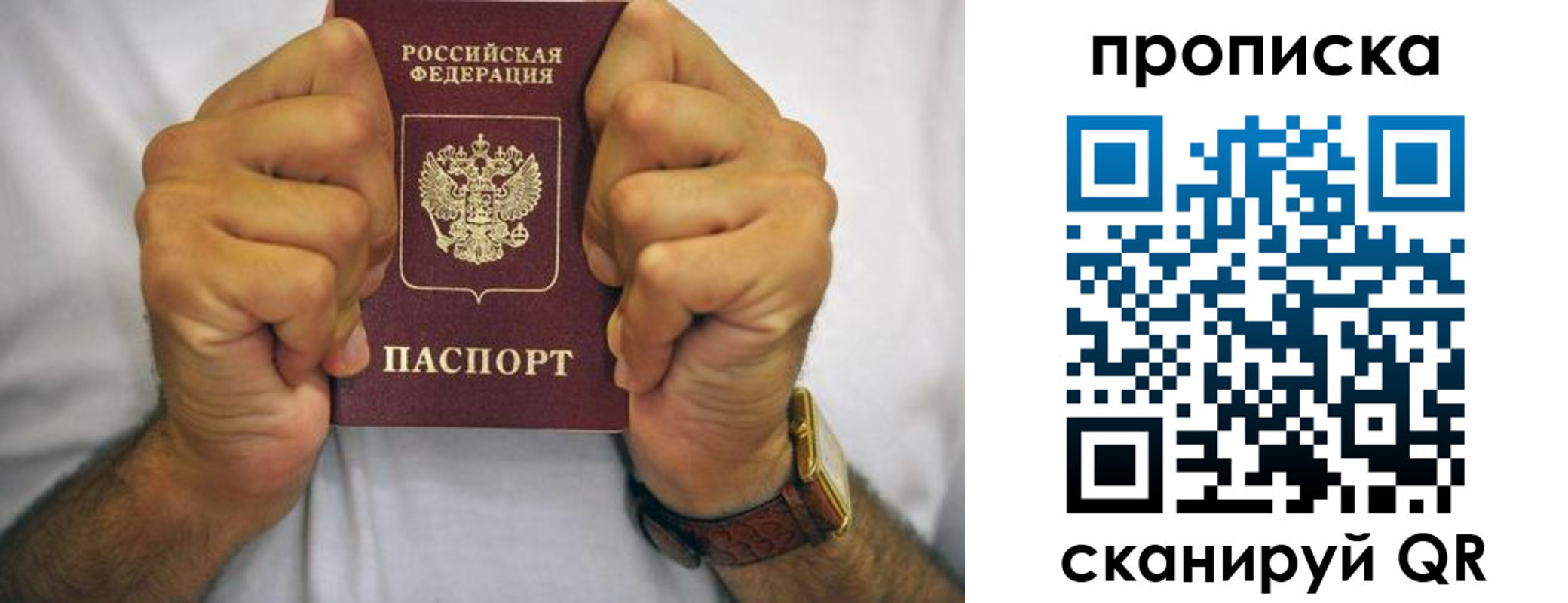 прописка в Кандалакше